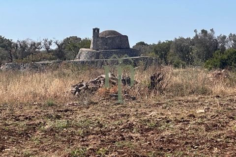 Ruïna a Carovigno, Brindisi, Carovigno - € 225.000 | Ref: Casolare e Trul - foto 25